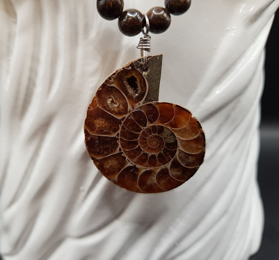 Miniature : Ammonite 60cm