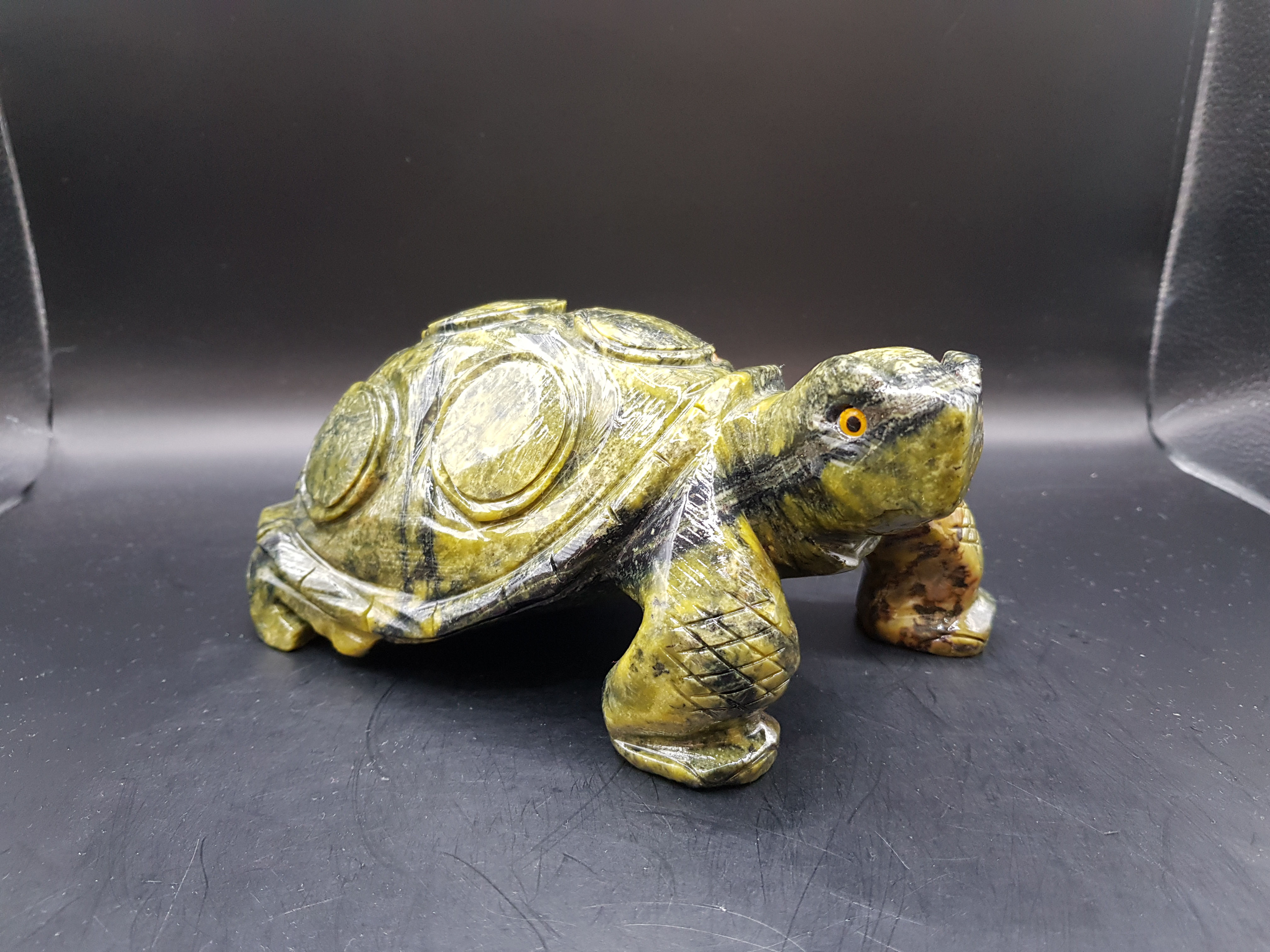 Serpentine - Tortue - 1,6kg