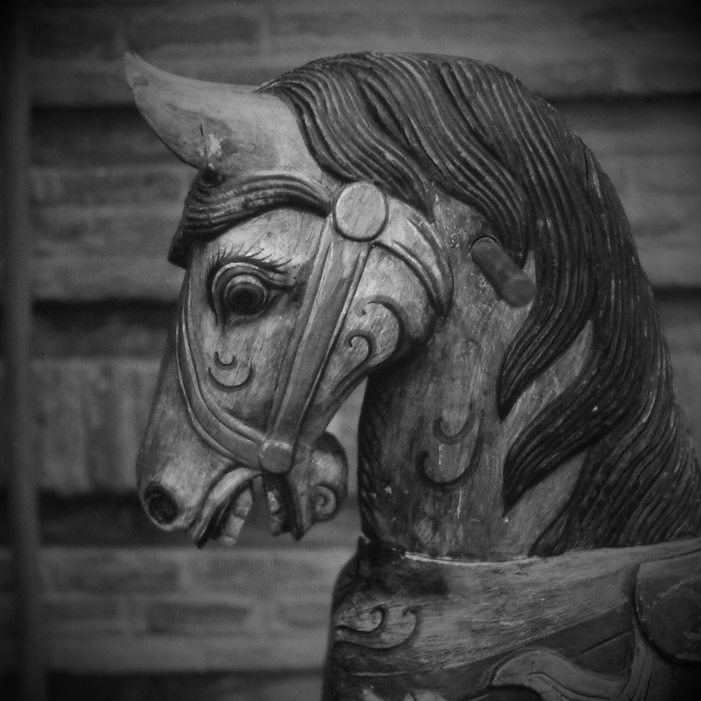 horse