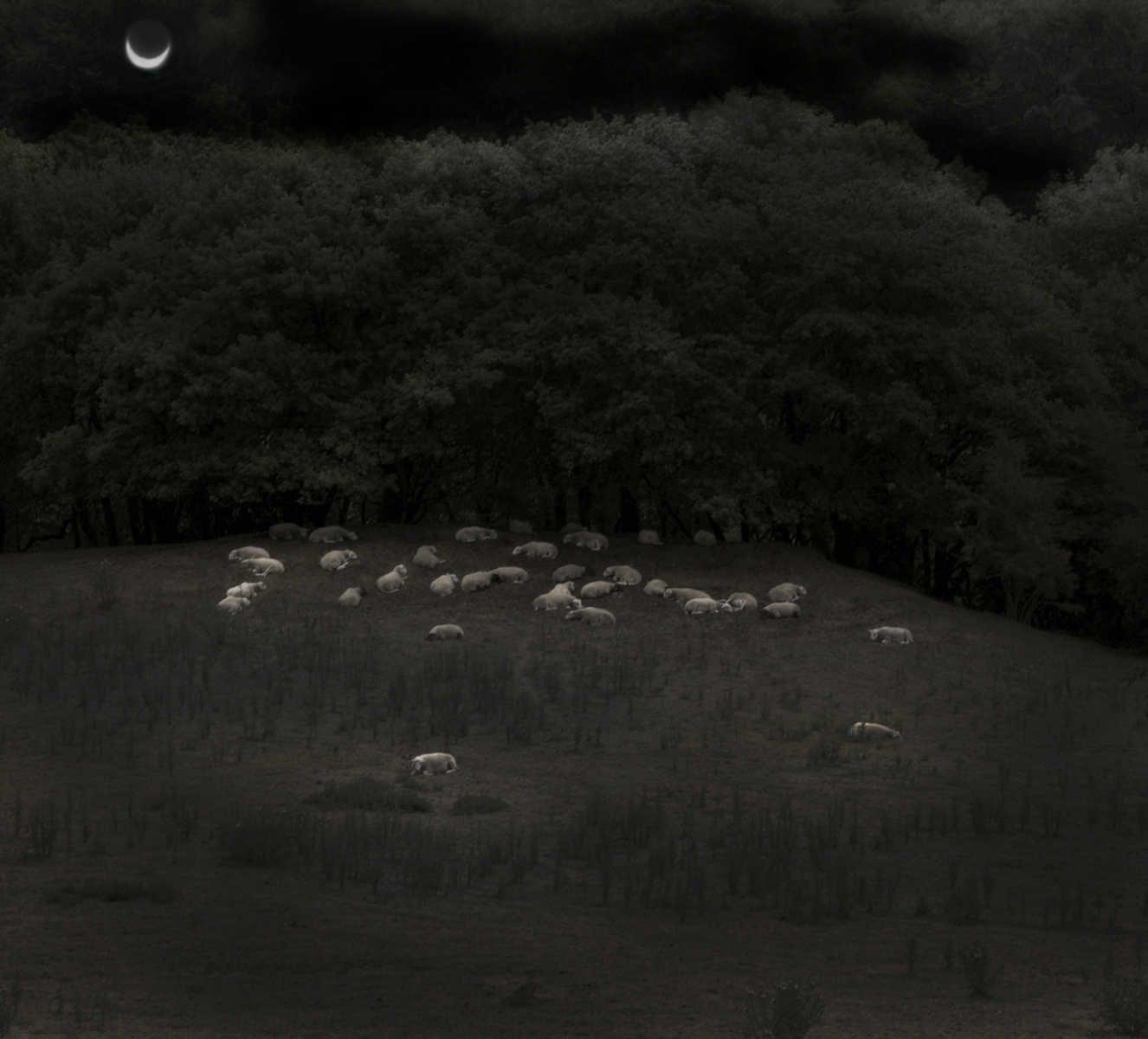 lunar pastoral (after Samuel Palmer)