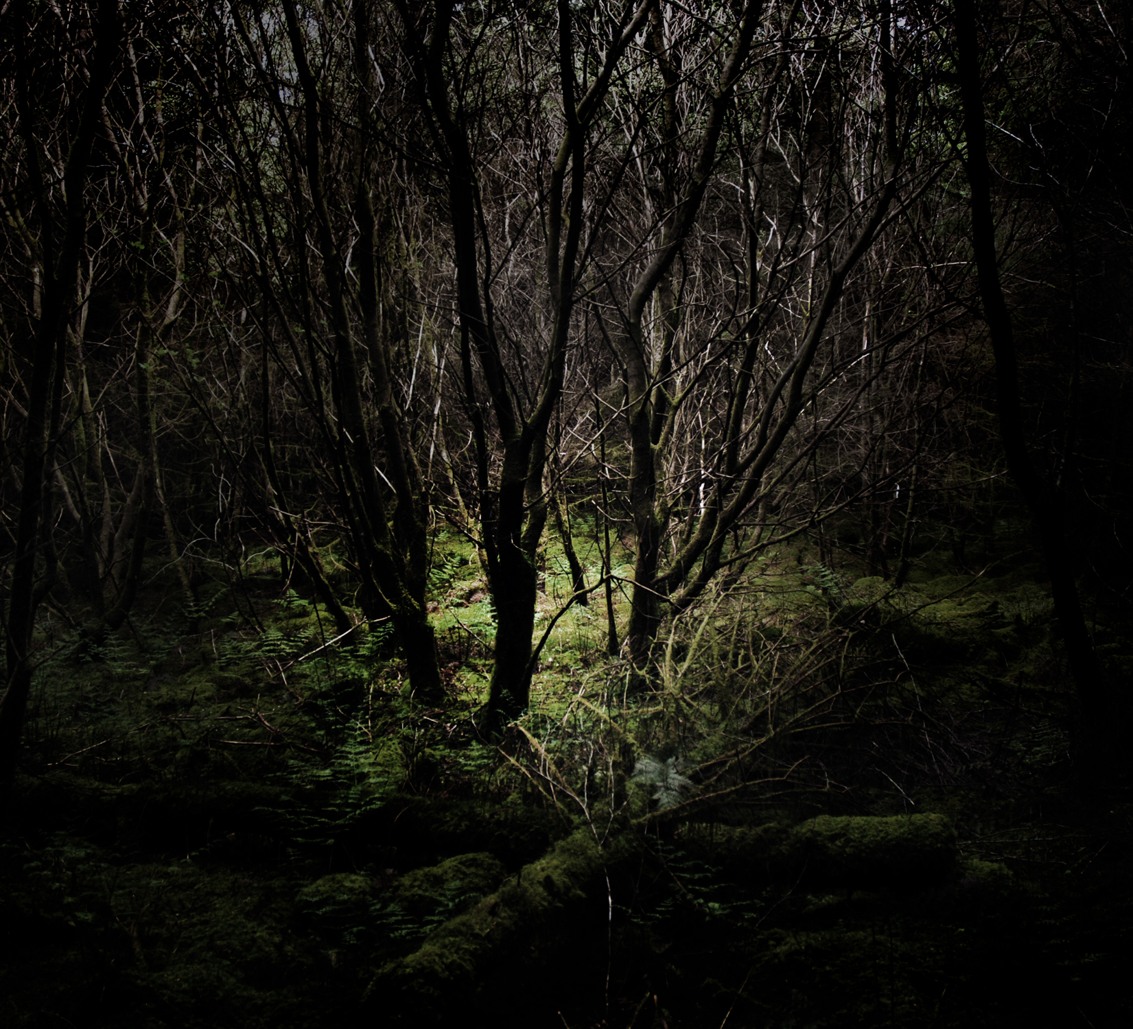 grove