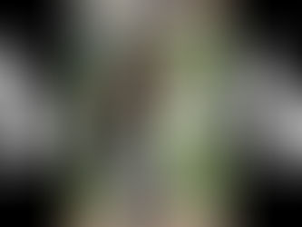 BCBUA Online Clinics - Only 4 dates left! Register Now!