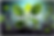 Untitledhbhgg.png