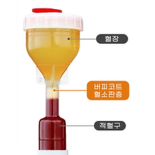 성감주사_버피코드.png