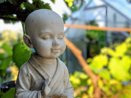 Buddhismus & Naturrecht