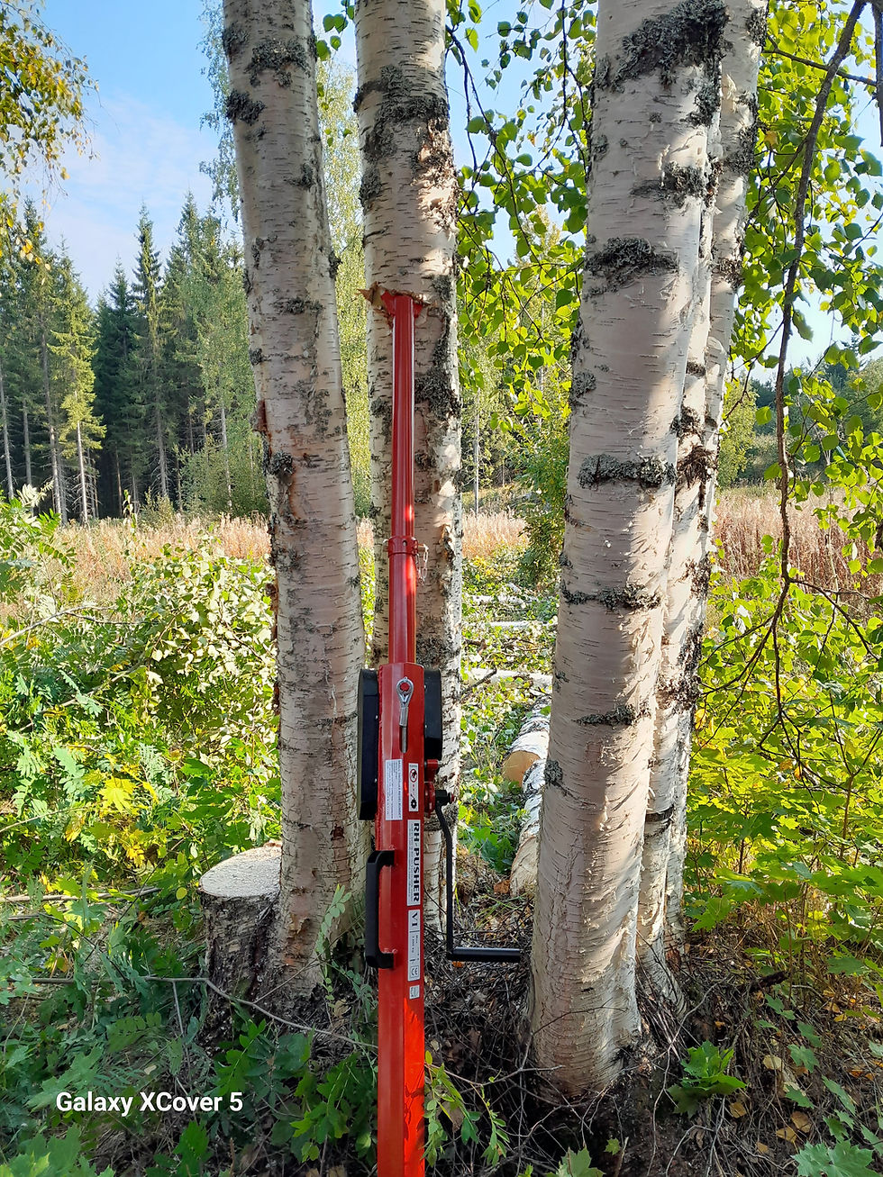 Manuaalinen-metsänhoito-Ilomantsti-Tuupovaara-Kiihtelysvaara-Eno-puutyöt