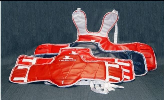 Pecheras reversibles para Artes Marciales