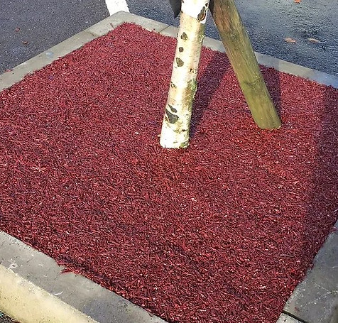 Screenshot 2024-07-23 124046.jpg