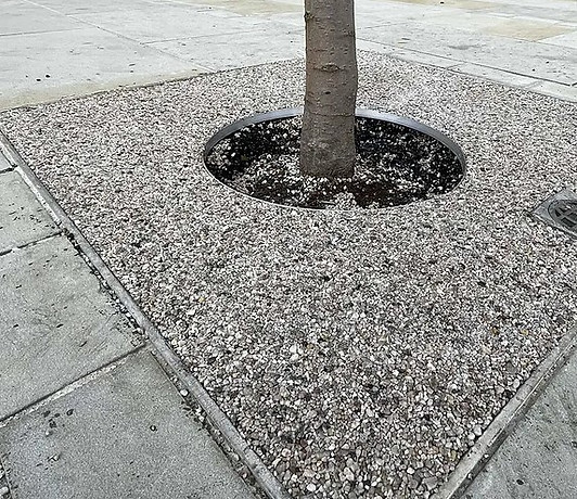 Screenshot 2024-07-23 124029.jpg