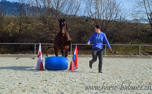 Dashuria & Sonja Fasssprung.jpg