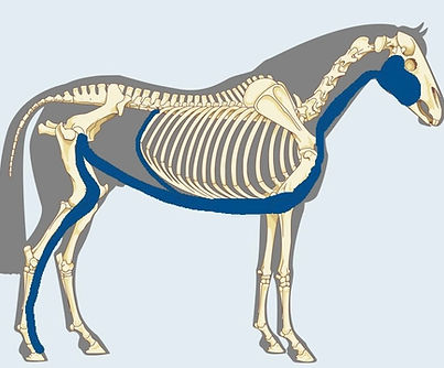 Foto 15.01.25, 19 59 32 (8).jpg