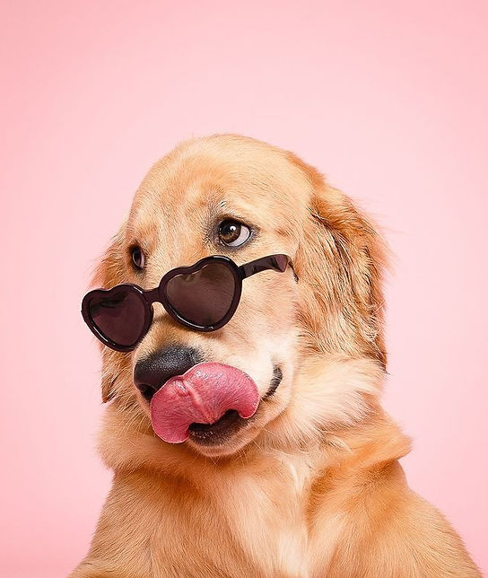 All Posts • Instagram.jpeg