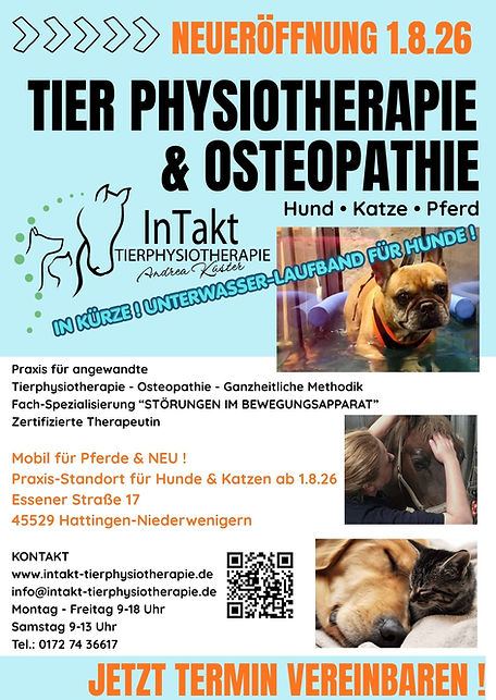 Praxis für Tierphysiotherapie in Hattingen