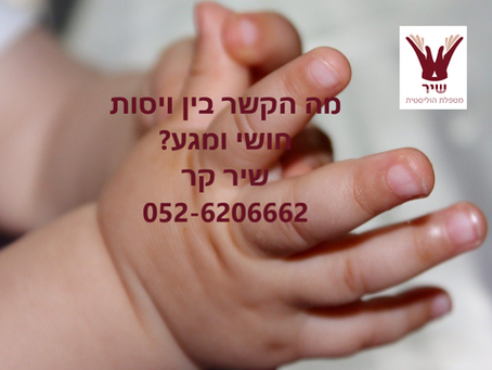 מה הקשר בין ויסות חושי ומגע?