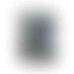 Paradigm Trigger Pokemon