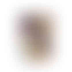 Shiny Treasure ex Pokemon