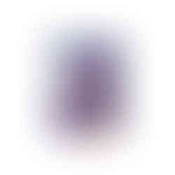 Shiny Treasure ex Pokemon