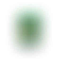 Shiny Treasure ex Pokemon