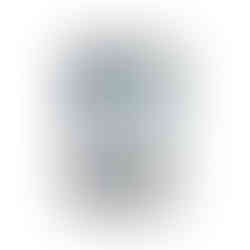 Shiny Treasure ex Pokemon