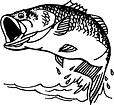 Black and white image of bass jumping out of water representing a link