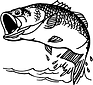 Black and white image of bass jumping out of water
