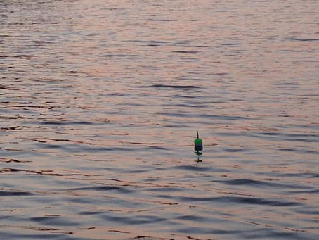 Fall Lake Fishing Report for May 2, 2017