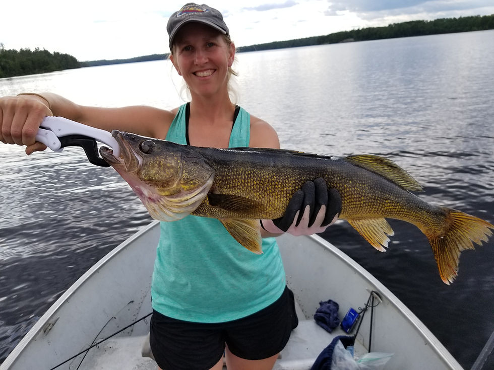 Fall Lake fishing, BWCA fishing, Ely Fishing, boat and motor rental, log cabins, fishing, minnesota fishing