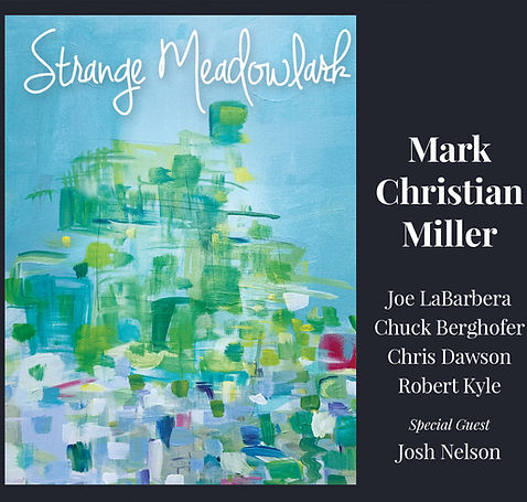 Strange Meadowlark REVISED Wallet cover-rgb-72dpi.jpeg