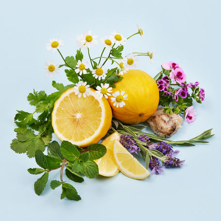 Detox and Purify_Ingredients_web.jpg