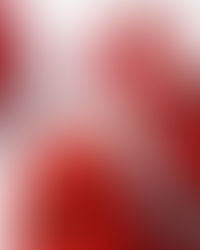 Luxury Cosmetic Brand Photography