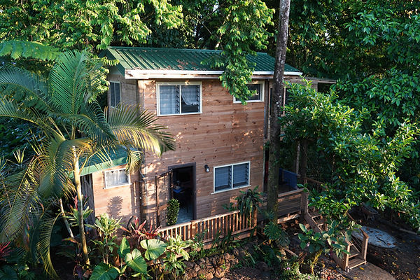 Tall_House.jpg