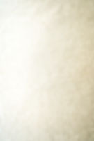 background paper_lr.jpg