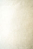 background paper_lr.jpg