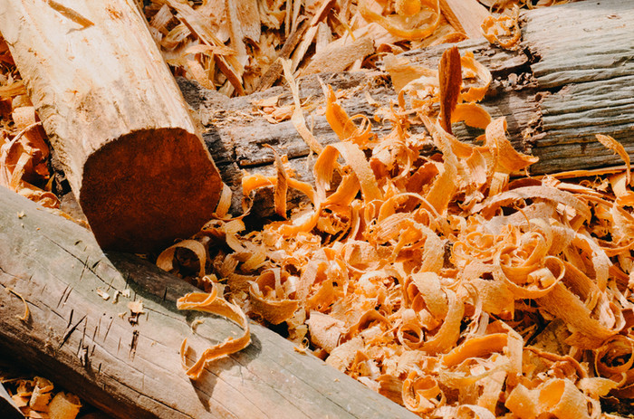 Samoan fale in Japan | Creative Samoa