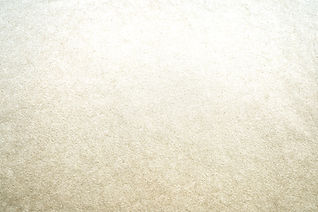 background paper horizontal_lr.jpg