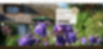 Touristik Webseite Ferienhausbuchung Webdesign DER.Webseller.de Website erstellen lassen