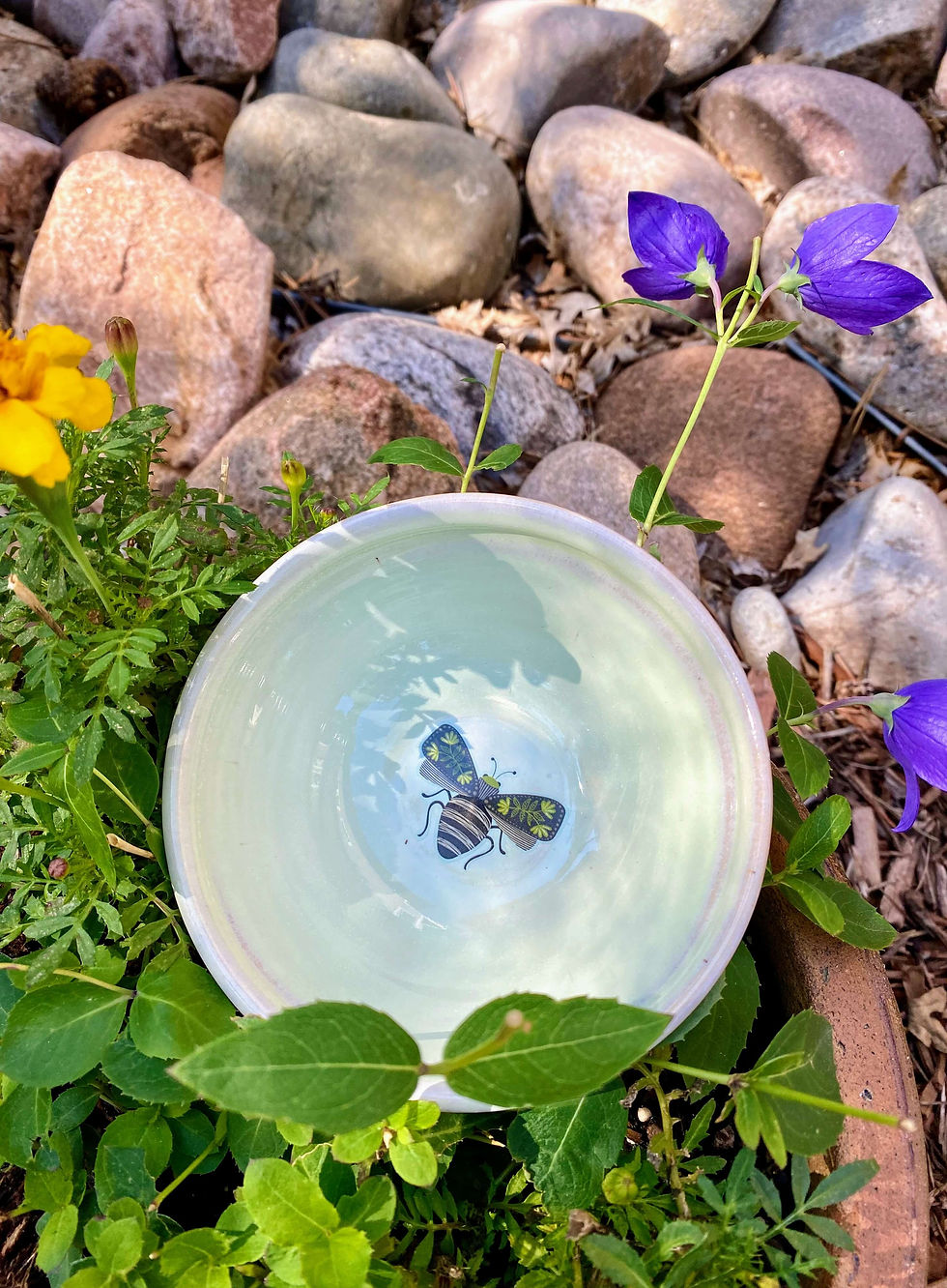 Wendy Iaconis, Bowl #13