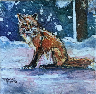 Snow Fox
