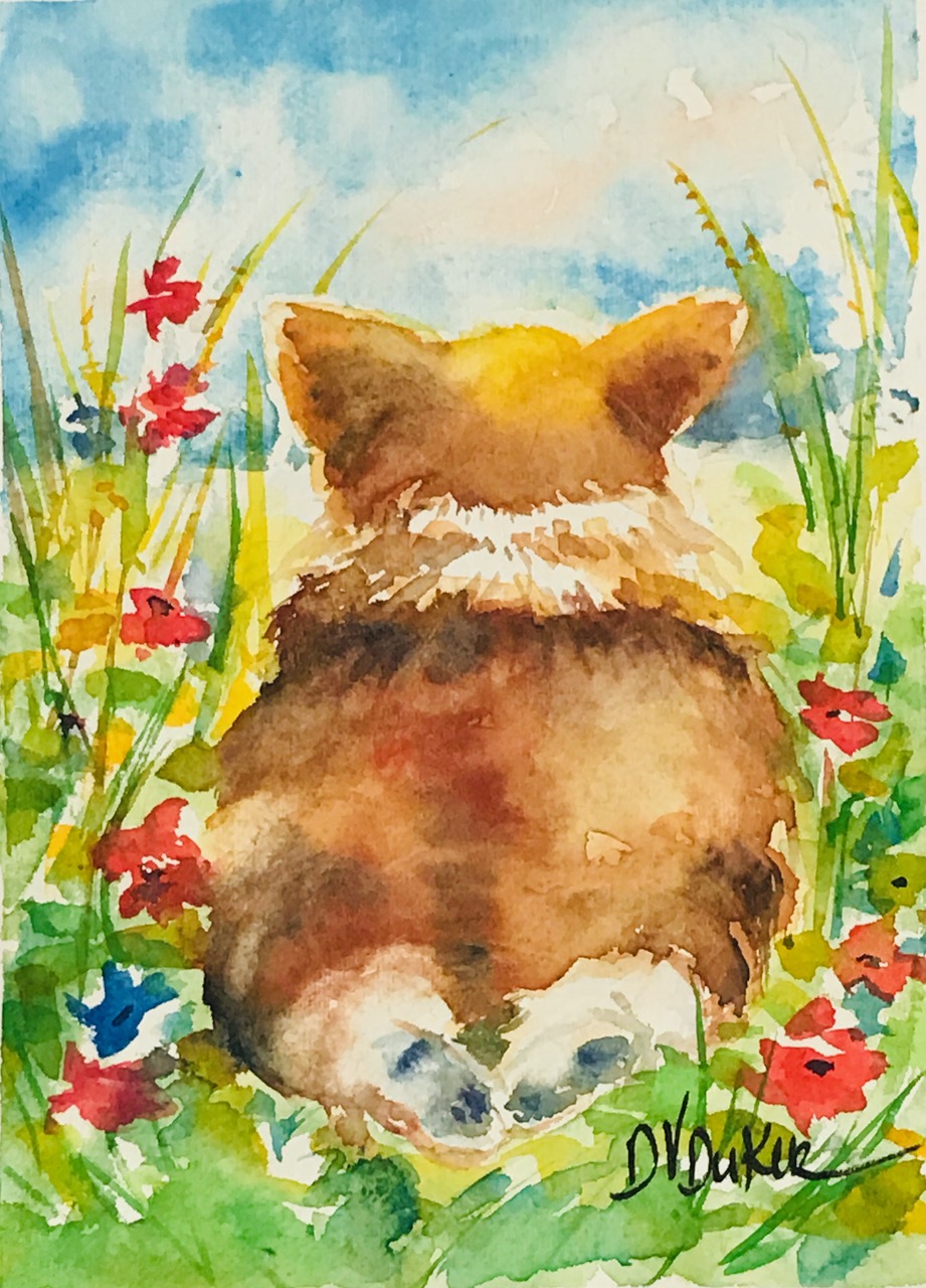 Corgi Day Dreams