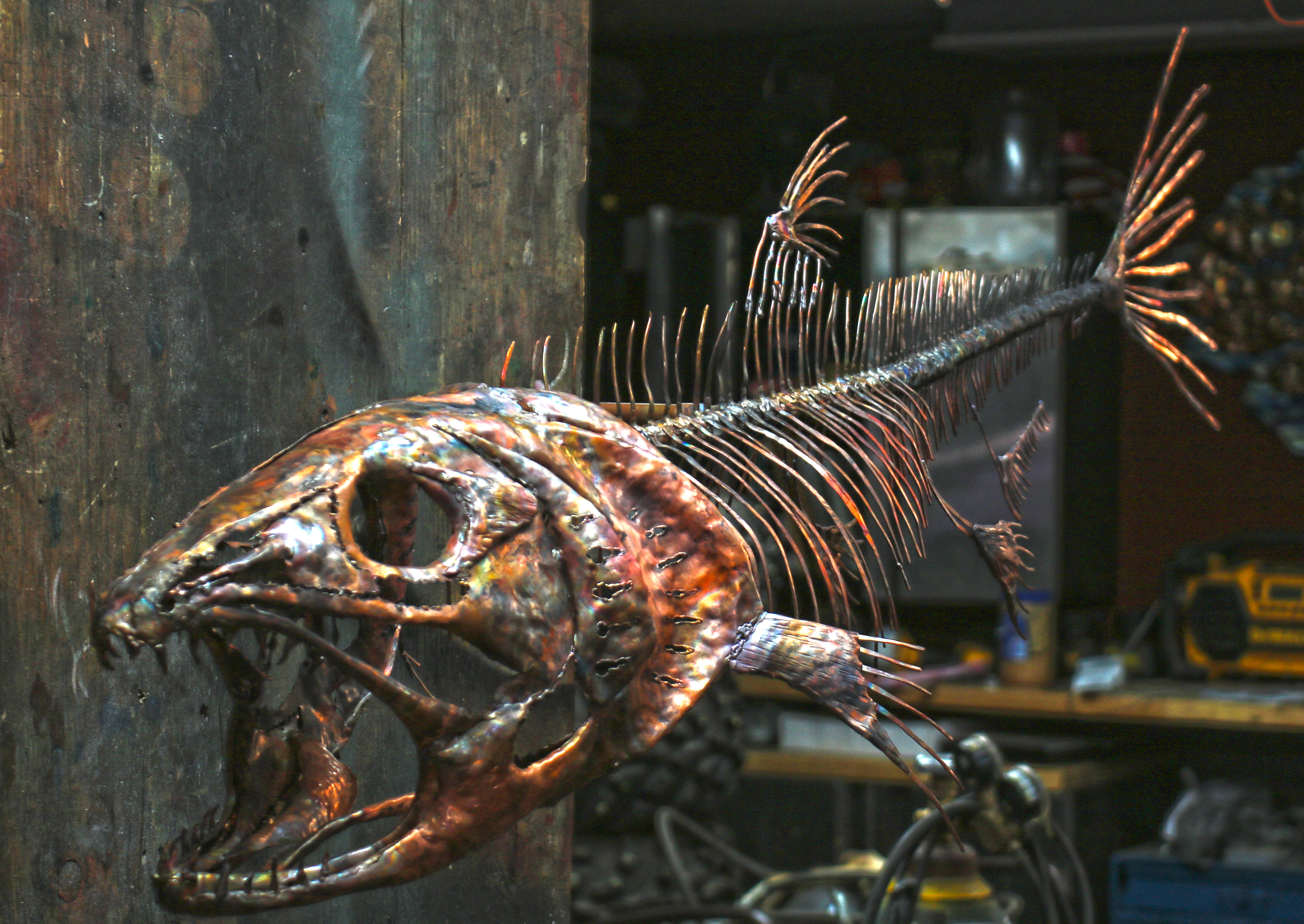 copper king