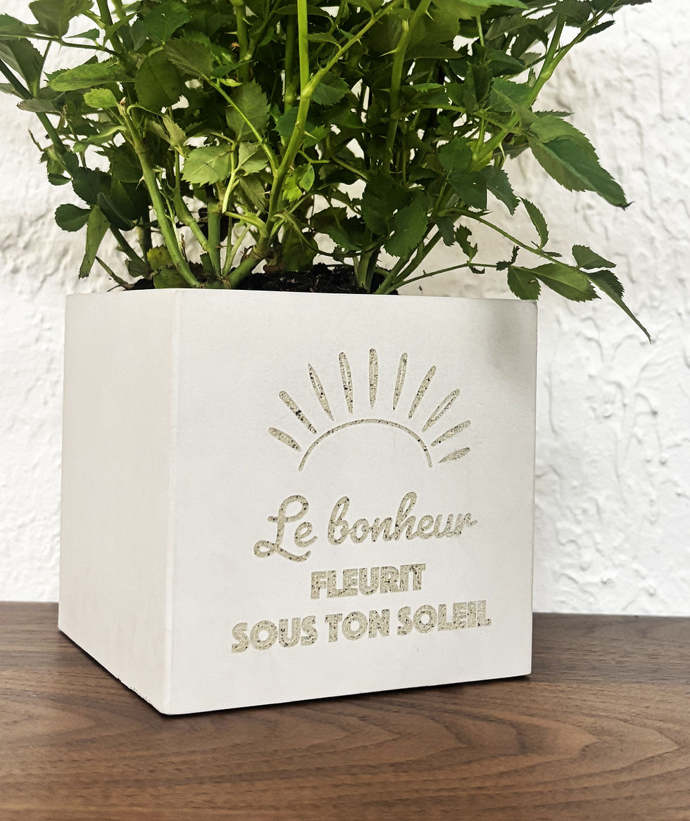 Miniature : Pots de Fleurs en Béton avec Gravures Personnalisées 8cm