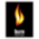 burn-energy-drink-logo-png_seeklogo-23733.png