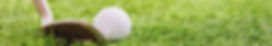 afamosa golf