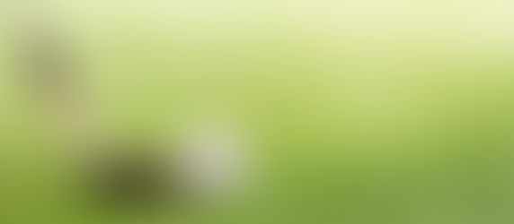 A Complete Guide to the Magic of GOLFZON