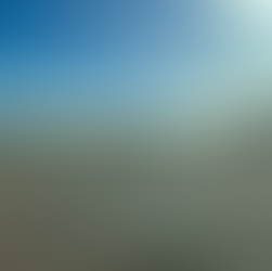 コンサートシーズン開幕🎉