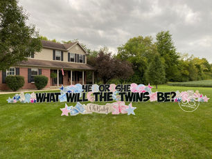 Gender Reveal