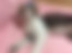 sahiplendirme için kedi ilanlari gösteren ikinci küçük fotoğraf