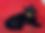 ücretsiz kedi sahiplendirme ilanları arasında üçüncü sıradaki ikon