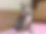 sahiplendirme için kedi ilanlari gösteren ikinci küçük fotoğraf