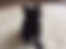 kedi sahiplendirme ilanları içinde birinci resmin ikon boyutu